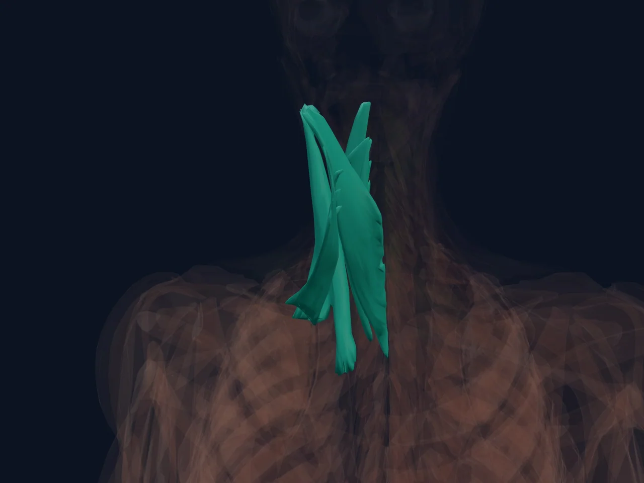 Neck Muscles highlighted in teal with nearby anatomy shown for orientation.