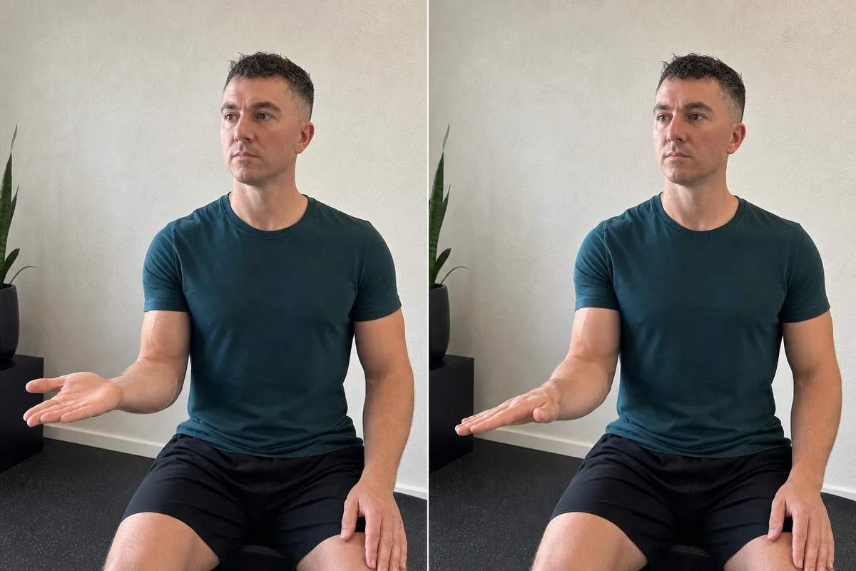 Start and finish demonstration of Forearm Pronation and Supination